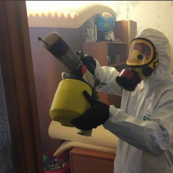 Уничтожение клопов в квартире. Красноуральск